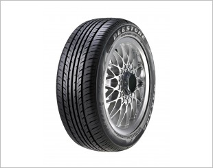 Deestone R301