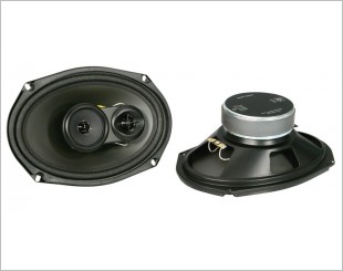 DLS Performance 269 Coaxial Speakers