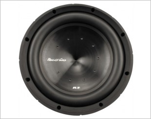 Phoenix Gold R310d4 Woofer