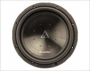 Phoenix Gold Ti210d2 Woofer