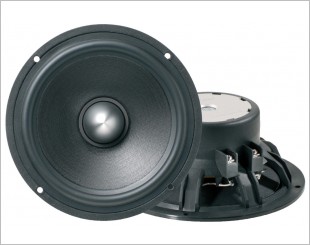 Rainbow W 165 Profi Phase Plug Woofer