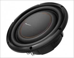 Pioneer TS-D10LS2