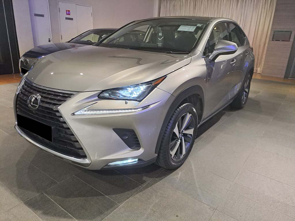 Lexus NX300 Luxury S/R