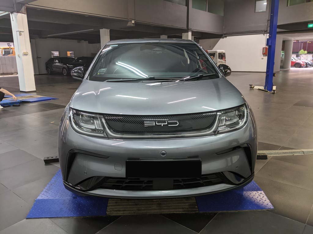 Byd Dolphin Dynamic (Electric Vehicle)