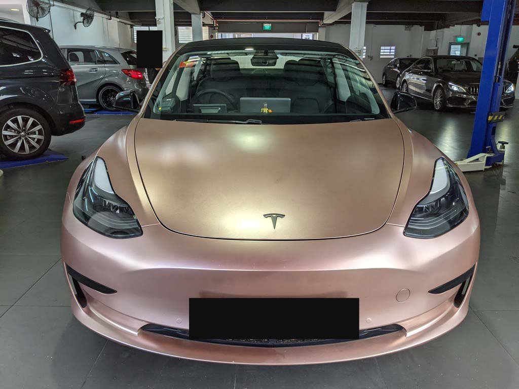 Tesla Model 3 Standard Range (Electric Vehicle)