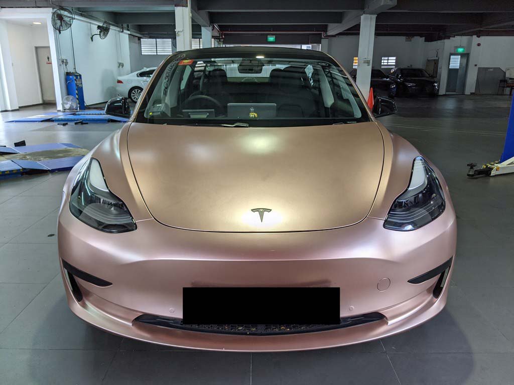 Tesla Model 3 Standard Range (Electric Vehicle)