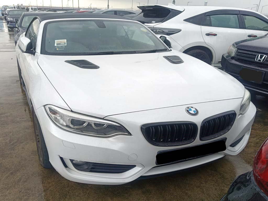 BMW 218i Convertible At Hid Abs