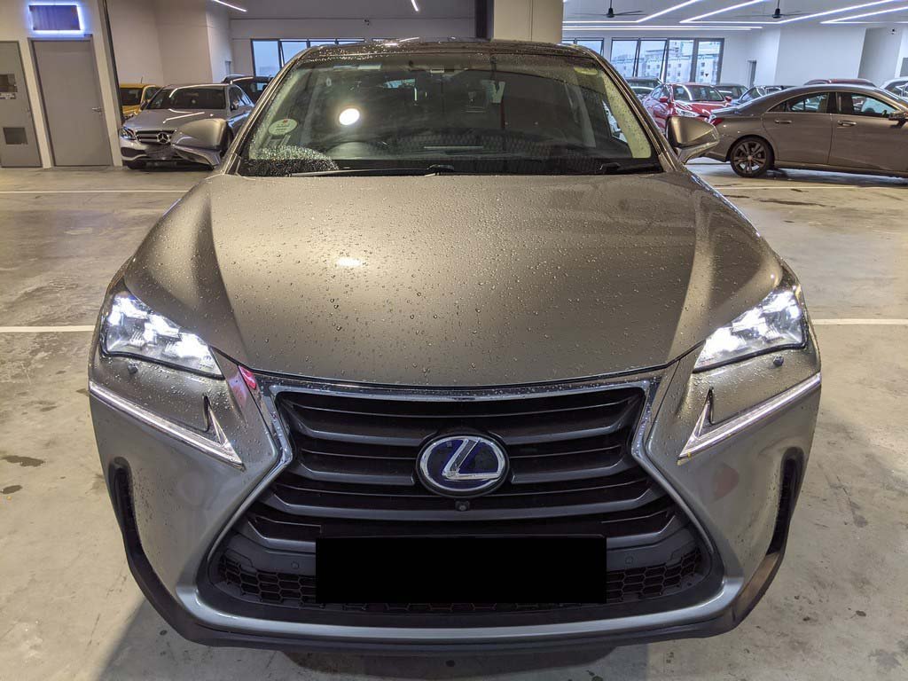 Lexus NX300H Luxury S/R (Hybrid)