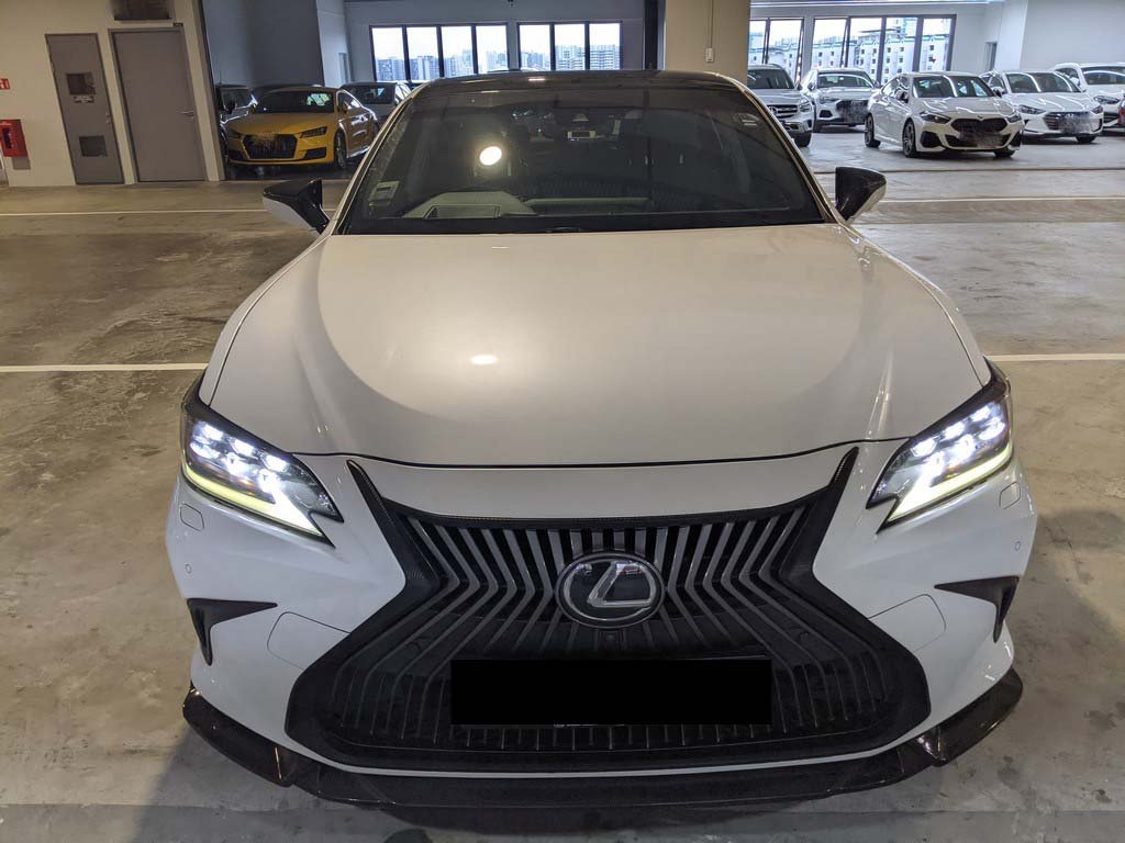 Lexus ES250 4dr Sedan (Auto) Luxury