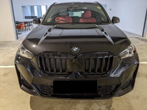 BMW X1 Sdrive16 Mspt Aled