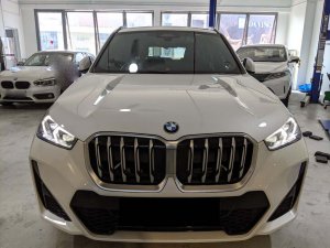 BMW X1 Sdrive16 Mspt Aled