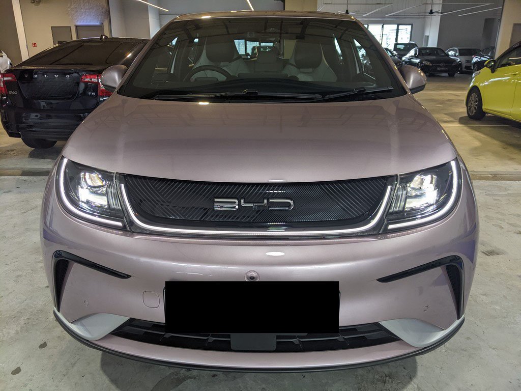 Byd Dolphin Dynamic (Electric Vehicle)
