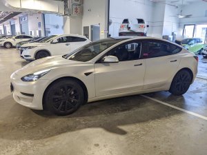 Tesla Model 3 Standard Range (Electric Vehicle)