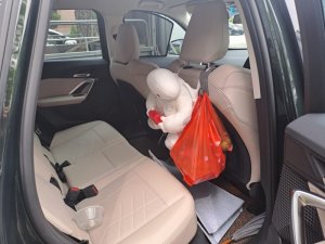 BMW Ix1 Edrive20 Aled (Electric Vehicle)