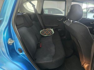 Honda Jazz 1.3l A (COE Till 11/2028)