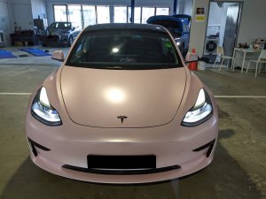 Tesla Model 3 Standard Range (Electric Vehicle)