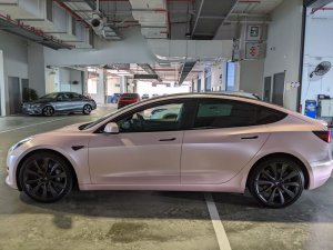 Tesla Model 3 Standard Range (Electric Vehicle)