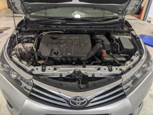Toyota Corolla Altis 1.6l Cvt (COE Till 08/2029)