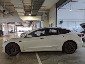 Tesla Model 3 Standard Range (Electric Vehicle)