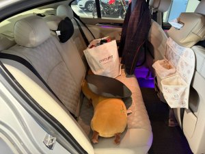 BMW 523i 2.5 At Abs D/ab 2wd 4dr Gas/d (COE Till 05/2031)