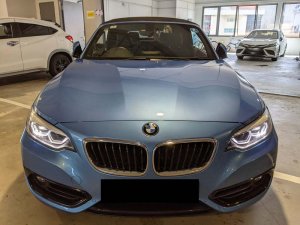 BMW 218I Convertible Led Nav