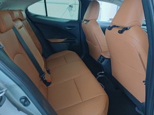 Lexus Ux250h 5dr Suv (at)(2wd) Executive (Hybrid)