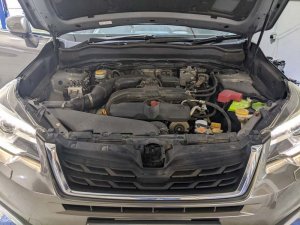 Subaru Forester 2.0i L Cvt Awd Sr