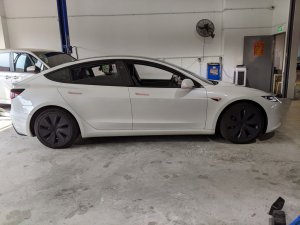 Tesla Model 3 Rwd (Electric Vehicle)