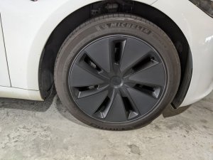 Tesla Model 3 Rwd (Electric Vehicle)