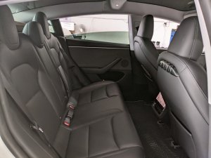 Tesla Model 3 Rwd (Electric Vehicle)