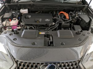 Lexus Nx350h 5dr Suv (at) (4wd) Luxury (Hybrid)