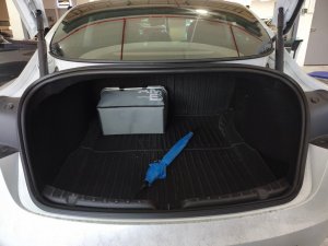 Tesla Model 3 Rwd 110 (Electric Vehicle)