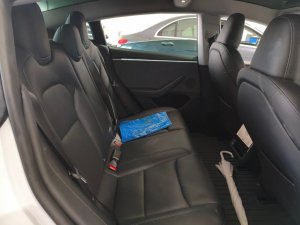 Tesla Model 3 Rwd 110 (Electric Vehicle)