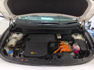 Kia Niro Sg2 Hybrid 1.6 Ex Dct (Hybrid)