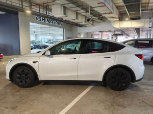 Tesla Model Y Rwd (Electric Vehicle)