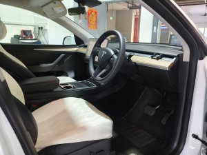 Tesla Model Y Rwd (Electric Vehicle)