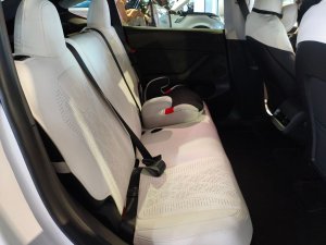 Tesla Model Y Rwd (Electric Vehicle)