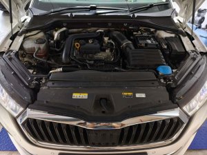 Skoda Octavia Style 1.0 Tsi Mhev (Hybrid)
