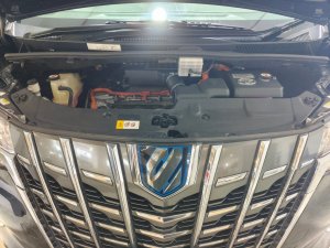 Toyota Alphard Elegance (auto) (Hybrid)