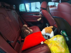 BMW X4 Xdrive30I Mspt Nav