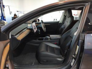 Tesla Model 3 Performance (Electric Vehicle)