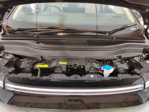Xpeng X9 Fwd (std Range) (Electric Vehicle)
