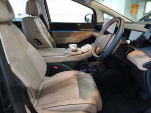 Xpeng X9 Fwd (std Range) (Electric Vehicle)