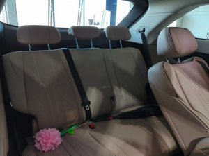 Xpeng X9 Fwd (std Range) (Electric Vehicle)