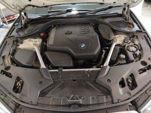 BMW 520I SE M Hybrid (Hybrid)