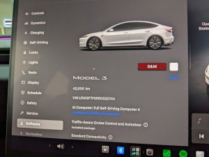Tesla Model 3 Rwd (Electric Vehicle)