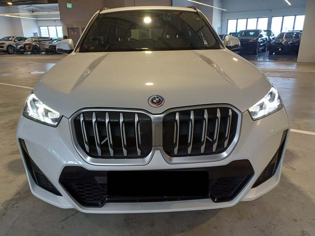 BMW X1 Sdrive16 Mspt Aled