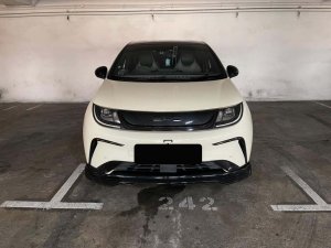 Byd Dolphin Dynamic (Electric Vehicle)