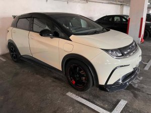 Byd Dolphin Dynamic (Electric Vehicle)
