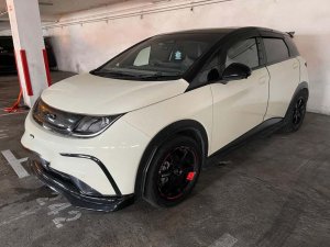 Byd Dolphin Dynamic (Electric Vehicle)